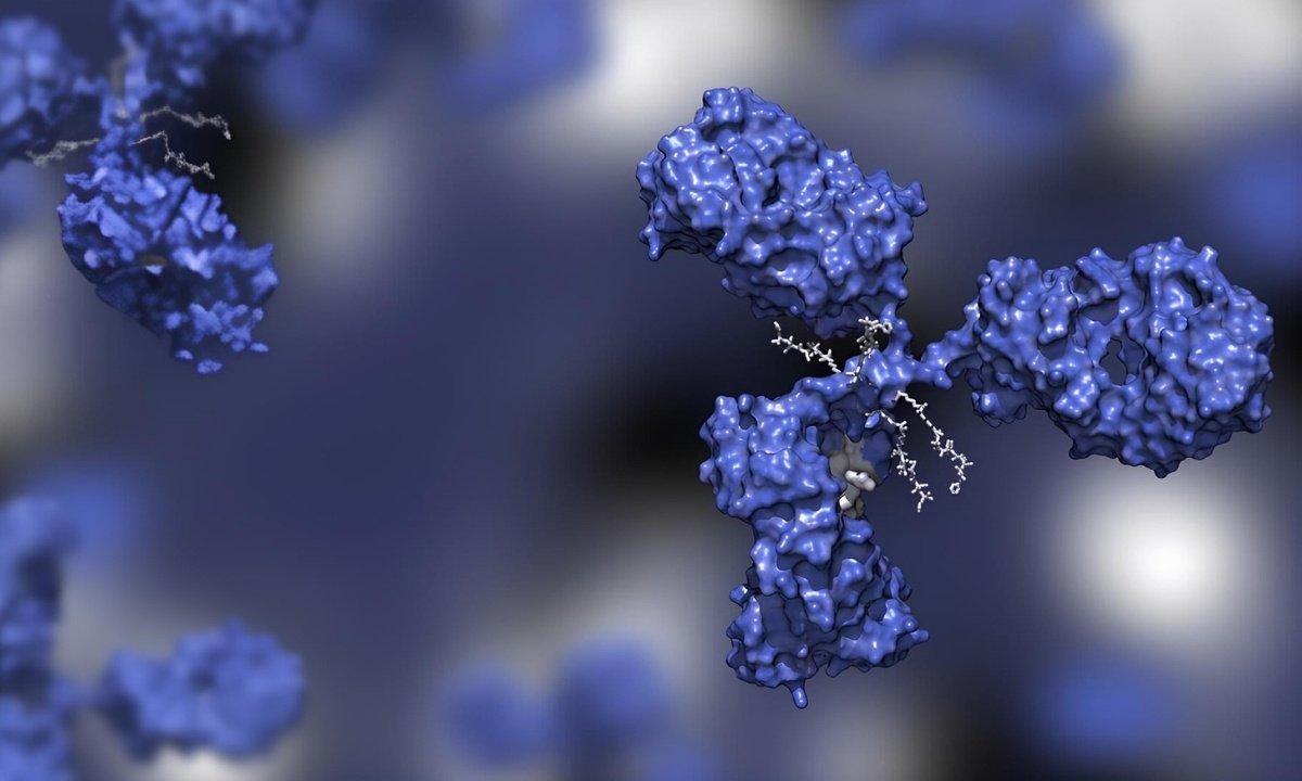 Conjugation & Grammatical Forms of Remove Verbs Across All Tenses